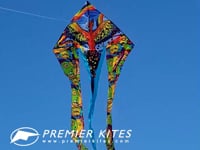 6.5 ft. Flo-Tail Delta Kite - Rainbow Bird