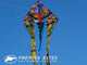 6.5 ft. Flo-Tail Delta Kite - Rainbow Bird