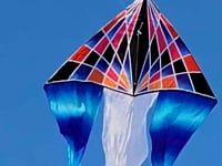 6.5 ft. Flo-Tail Delta Kite - Gradient Check