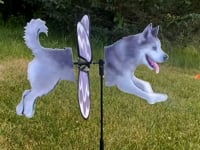 Petite Spinner - Husky