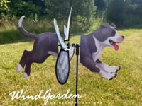 Petite Spinner - Pit Bull