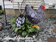Petite Spinner - Black & White Chicken