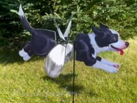 Deluxe Petite Spinner -  Border Collie