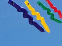 Wackyworm Line Laundry - Green