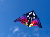 Sweet 16 Delta Kite - Sunset Check