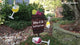 WhirliGig Spinner - Wine a Bit More