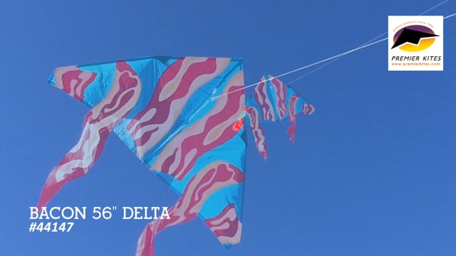 56 in. Delta Kite - Bacon
