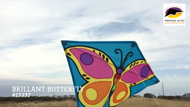 30 in. Diamond Kite - Briliant Butterfly