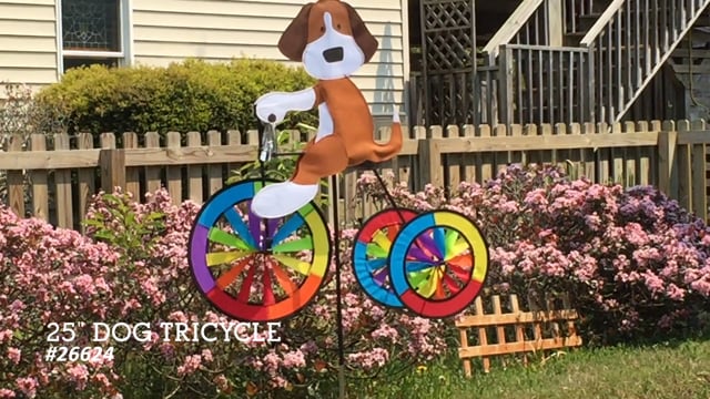 25 in. Tricycle Spinner - Dog