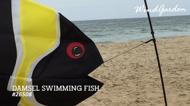 Swimming Fish - Damsel Fish