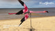 Flying Flamingo Spinner