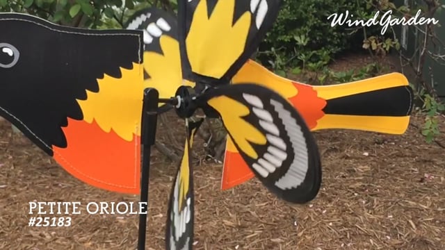 Petite Spinner - Oriole