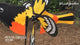 Petite Spinner - Oriole