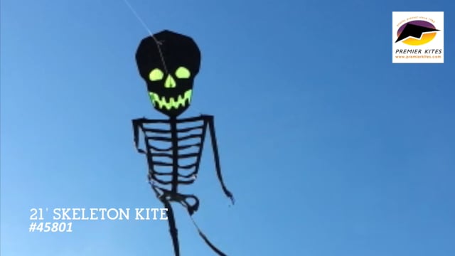 21 ft. Skeleton Kite