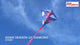25 in. Diamond Kite - Asian Dragon (Bold Innovations)