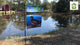 12 in. Flag - Wood Ducks