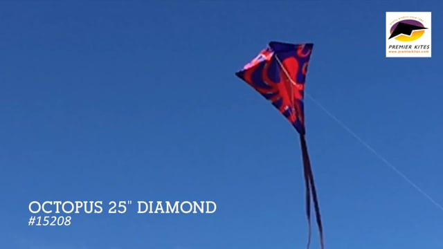 25 in. Diamond Kite - Octopus