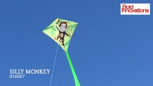 25 in. Diamond Kite - Monkey (Bold Innovations)