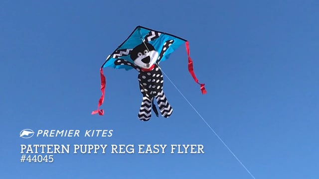 Easy Flyer Kite - Pattern Puppy