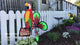 Petite Spinner - Party Macaw