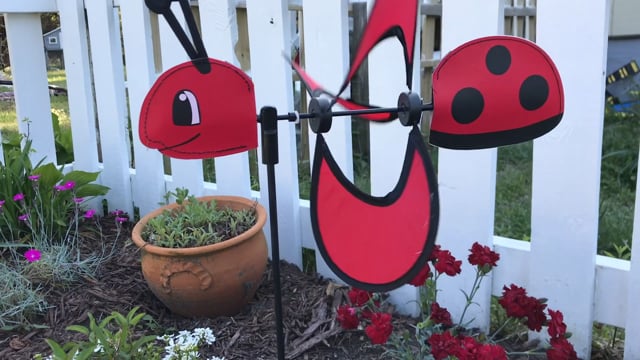 Petite Spinner - Ladybug
