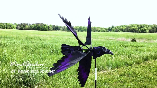 Flying Raven Spinner