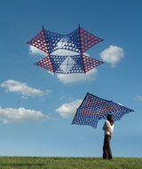 Tri-Mesh Delta Kite
