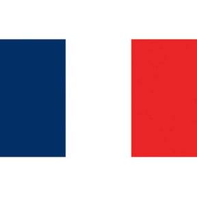 Flag Kite - France