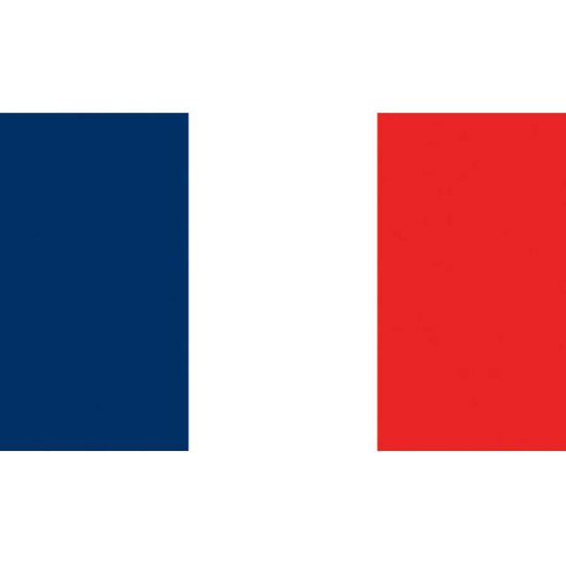 Flag Kite - France