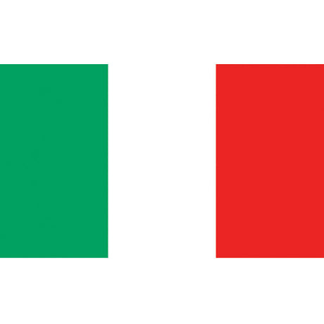 Flag Kite - Italy