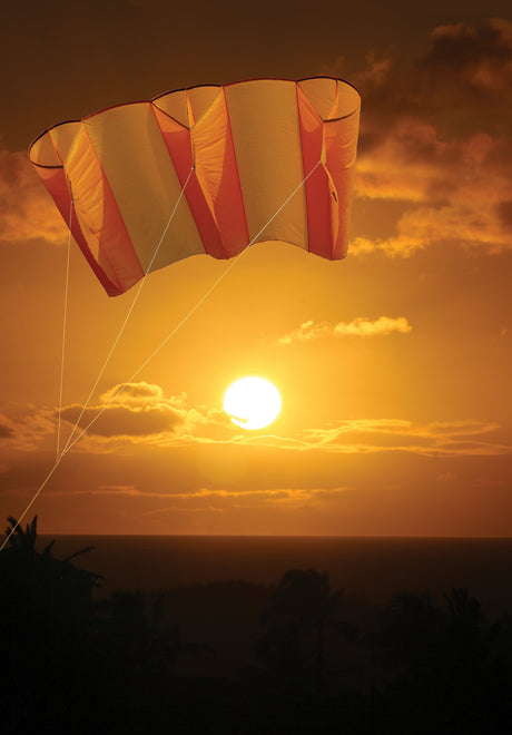 Jumbo Power Sled 36 Kite - Mango