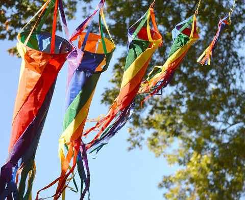 60 in. Spinsock - Rainbow