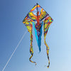 6.5 ft. Flo-Tail Delta Kite - Rainbow Bird