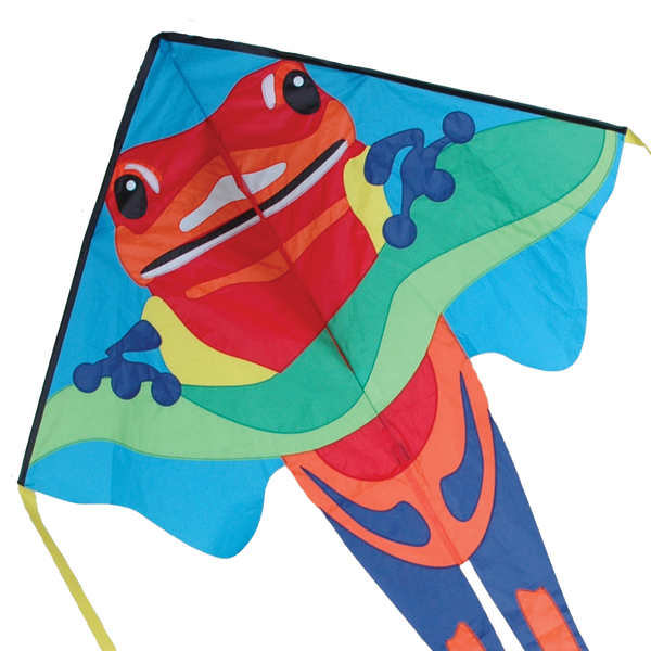 Large Easy Flyer Kite - Poison Dart