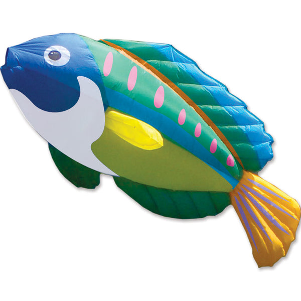 8 ft. Peacock Wrasse Kite