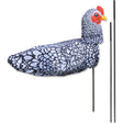 Windicator Recumbent Bike Flag - Chicken