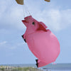 28 in. Pig Windsock